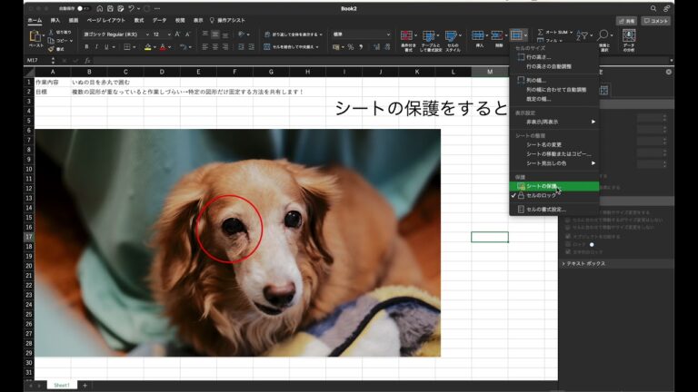 Excelで図を固定する方法