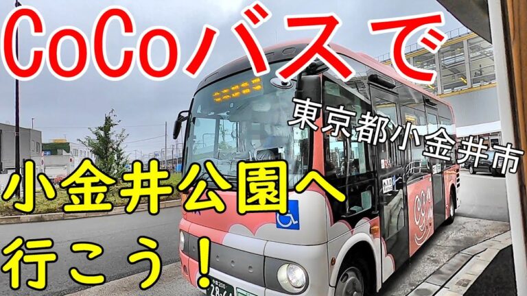 ココバス路線図の徹底ガイド