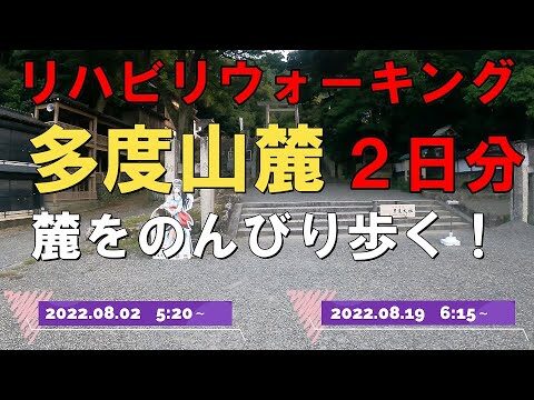 近所のウォーキングを飽きさせないアイデア