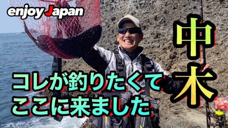 中木へ行こうよ！