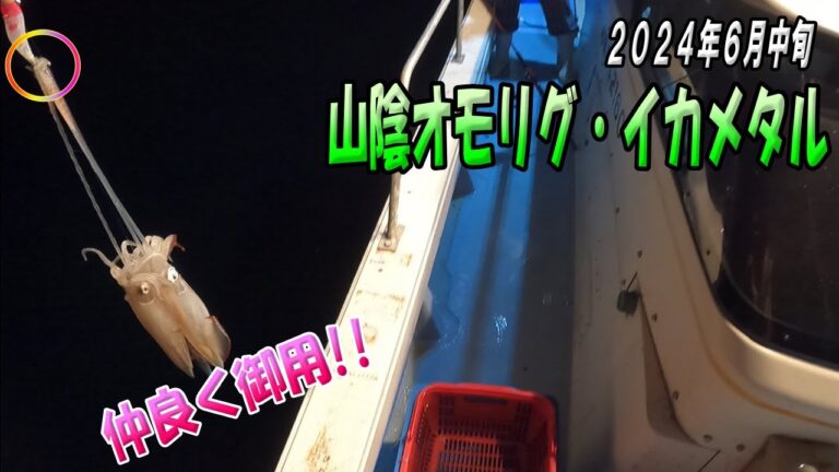 浜田しょうふくまるの魅力と実績