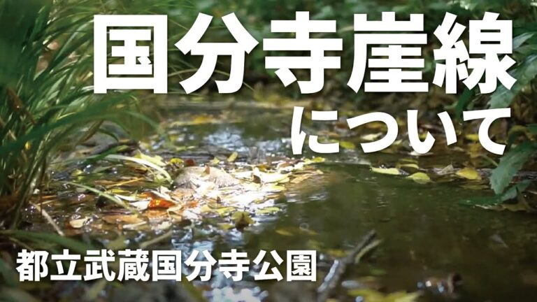 国分寺崖線の地図ガイド