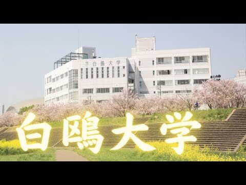 白鴎大学のFラン評価と魅力