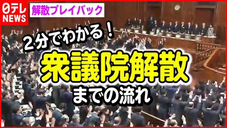 解散と総辞職の違いとは