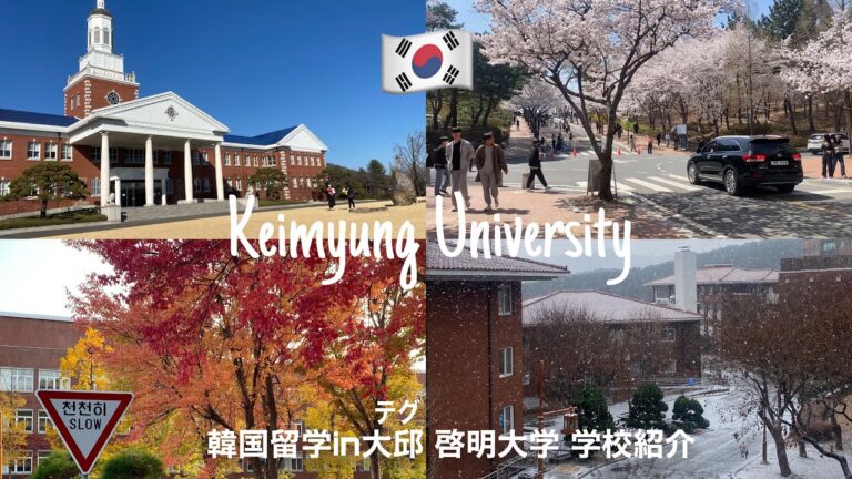 ケミョン大学の魅力と学びの環境