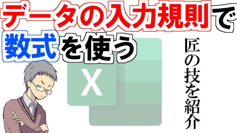 データ入力規則のユーザー設定ガイド