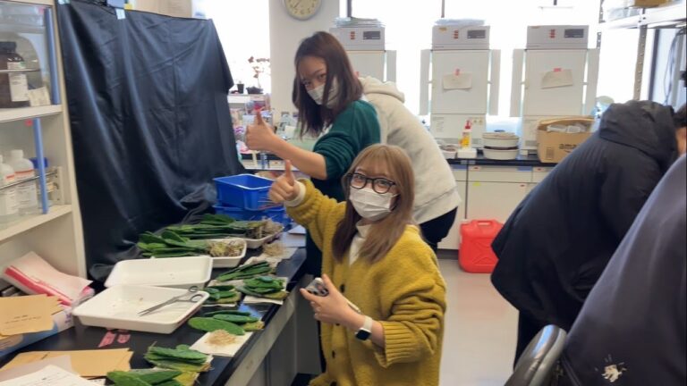 卒論の提出期限とスケジュール管理