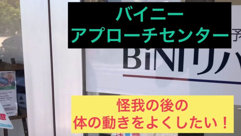 バイニーズアプローチの批判分析