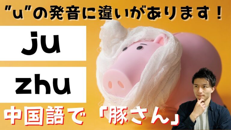 「Zhuの読み方ガイド」