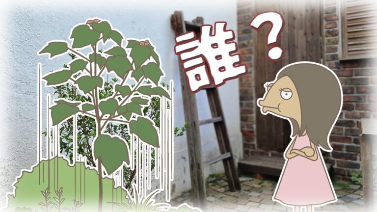 雑草が木に変わる驚きのプロセス