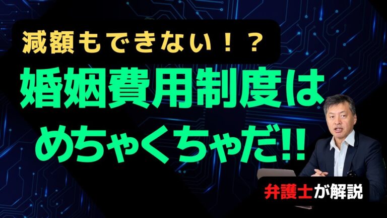 婚姻費用減額調停の成功ガイド