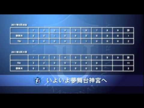 東京国際大学野球部のグランド事情