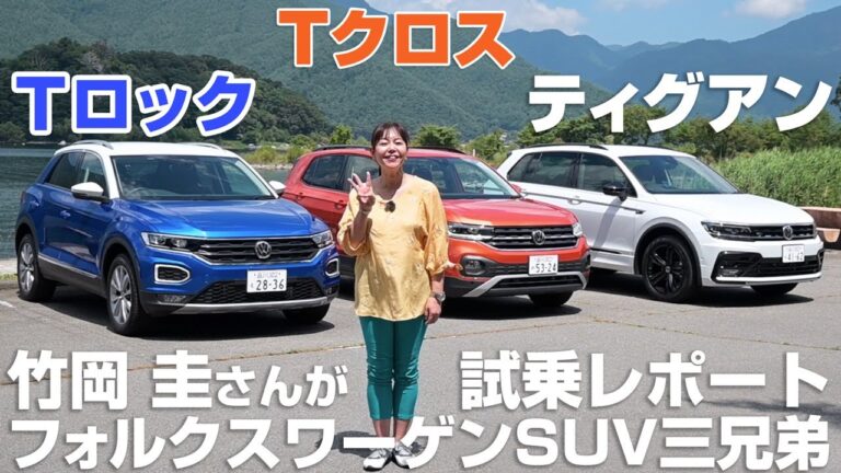 フォルクスワーゲンの組織図解析