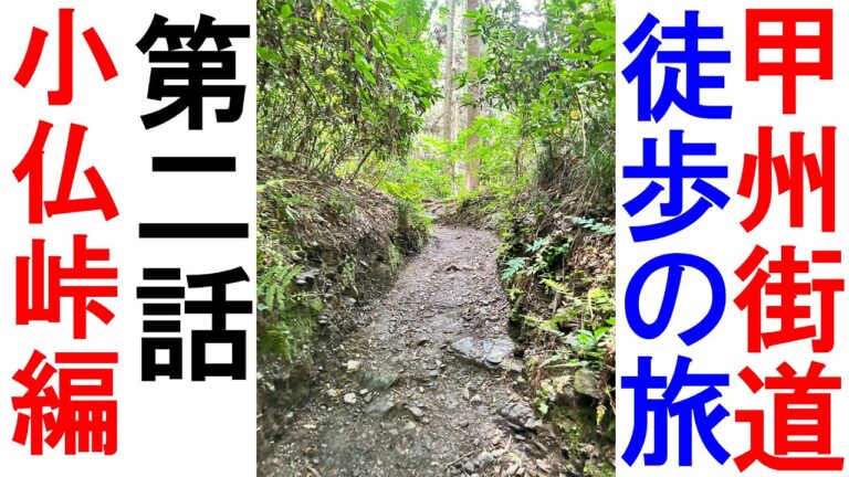 高尾街道の渋滞解消策と現状分析