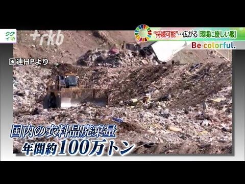 ファストファッションの影響と持続可能性に関する考察