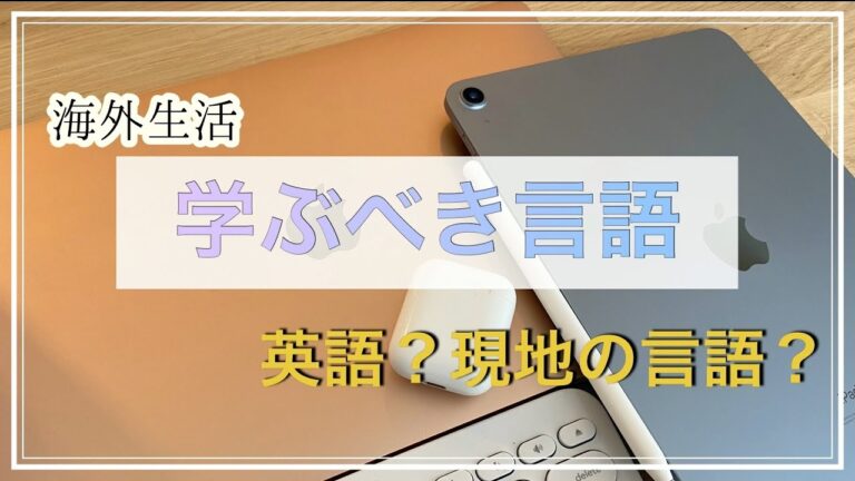 ベルギーの言語問題とその影響