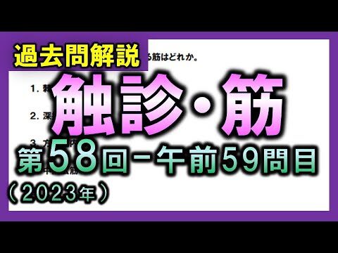 体表から触知する筋の覚え方